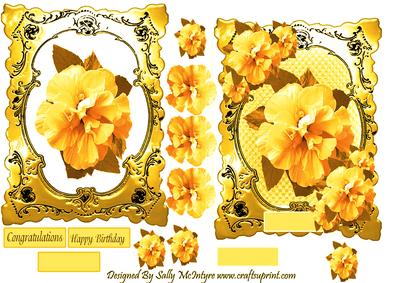 Hibiscus Beauty Golden Hues
