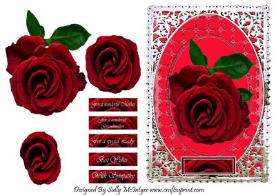 Red Roses for All the Ladies in Your Life