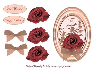 Red Rose in Apricot Glass Frame