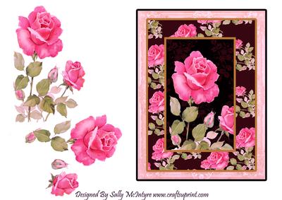 Hot Pink and Hot Pink & Black Magic for the Special Occasion