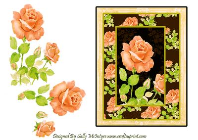 Peach & Black Magic for the Special Occasion