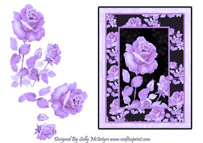 Purple & Purple & Black Magic for the Special Occasion