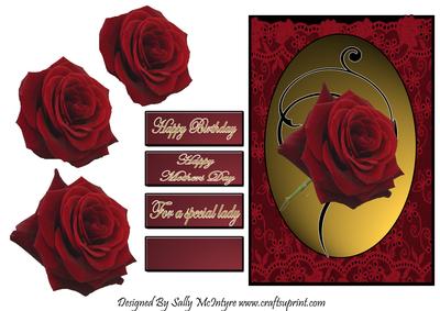 For a Special Lady Happy Birthday Happy Mothers Day on Lace
