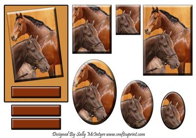For the Horse Rider in Your Life