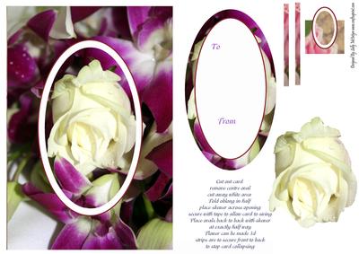 Swinger White Rose and Orchid