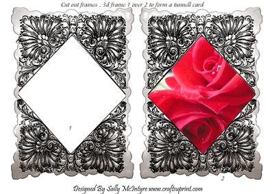 Silver and Red Roses Tunnell Framed Card