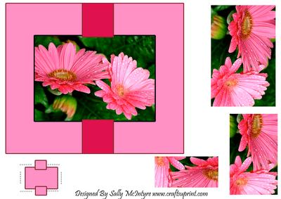 Quick Gerbera Foldback Card with Pyramid