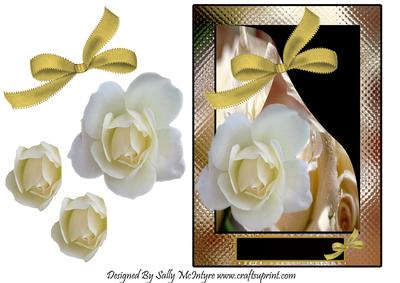 White Rose and Gold