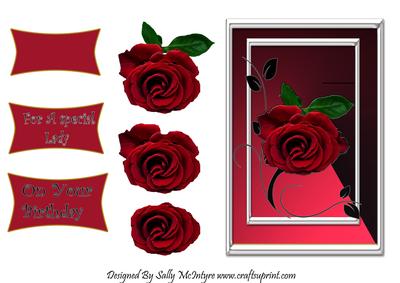 A Red Rose Says It All for a Special Lady
