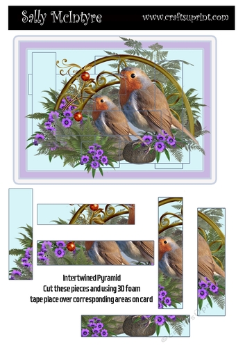 birds in the garden with card insert and sentiments Intertwined pyramid