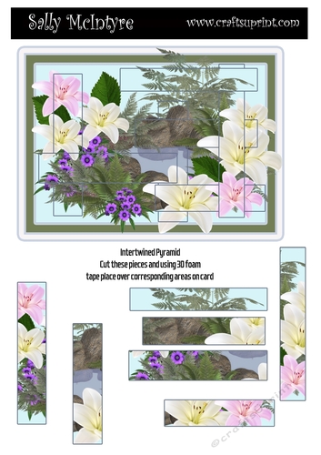 birds in the garden with card insert and sentiments Intertwined pyramid