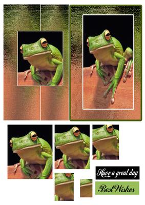Frog in a Pond Foldback Card