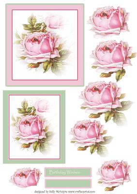 Perfect Pink Roses Step by Step Ladies