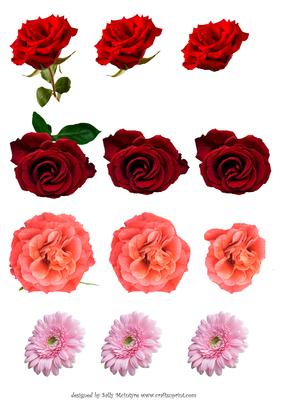 Assorted Flowers to Decoupage