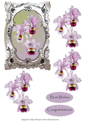 Iris in Silver Frame Happy Birthday