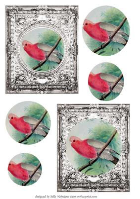 For the Bird Watchers with Smart Silver Frame