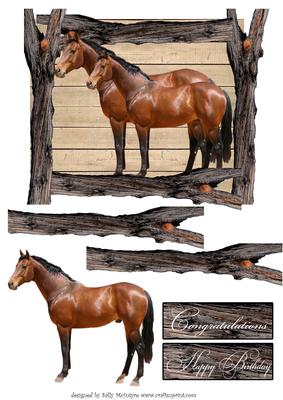 For the Horse Lover Comngratulations Happy Birthday