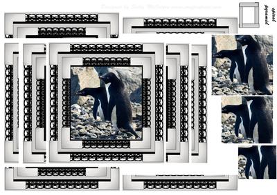 Spiral Pyramid Penguins from the Antarctic