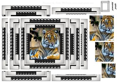 Spiral Pyramid Tigers