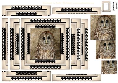 Spiral Pyramid Barn Owl