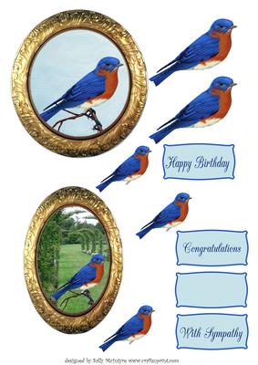 Blue Bird Multiple Greetings