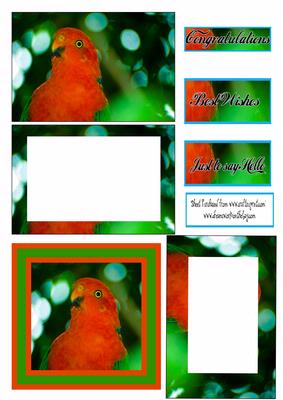 Rosella Just to Say Hello