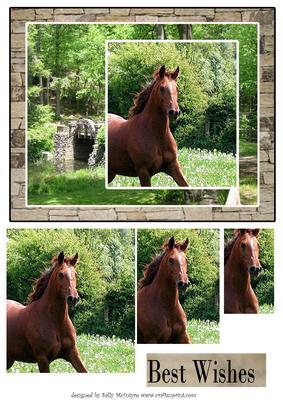 Horse Mania Best Wishes
