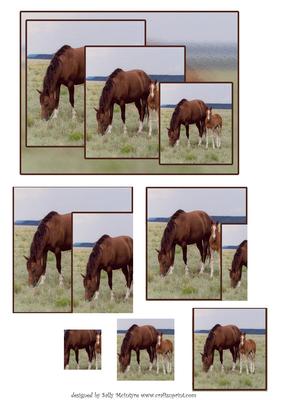 Tri Pyramid Horses