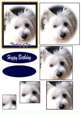 Westie Happy Birthday Thinking of You and Blank