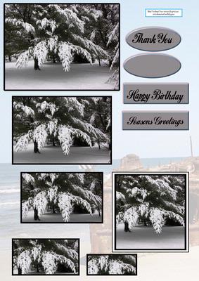 Tree Covered in Snow Happy Birthday Seasons Greetings and Thank You