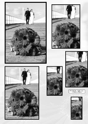 Only Have Black Ink Left Wedding Walk in Bw Makes a Great Wedding Card