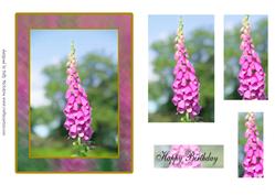 Foxglove Happy Birthday Pyramid