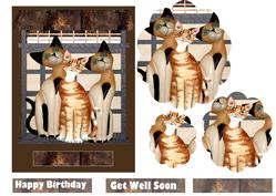 Cats All Over Pyramid
