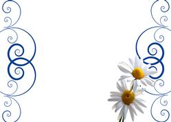 Insert with Blue Flourish and Daisies