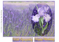 Lavender and Iris Purple Haze