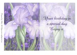 Your Birthday is a Special Day Enjoy It