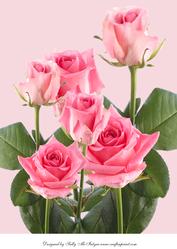 A4 Pretty Roses