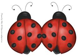 Blakes Two Ladybirds