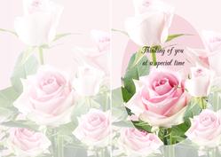 Insert Thinking of You at a Special Time