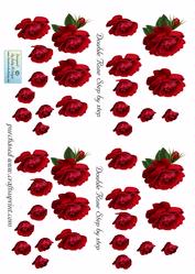 Mini Series Double Red Rose