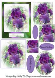 Iris 2 Card Sheet Happy Birthday with Sympathy