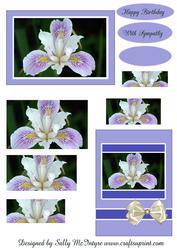 2 Card Sheet Iris Beauty Happy Birthday with Sympathy