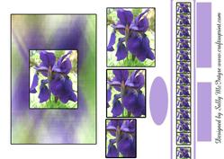 Iris Magic with Ribbon Add Your Own Greeting