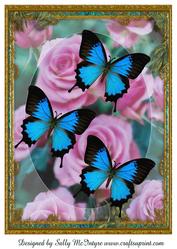 A4 Butterflies in Summer