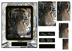 In the Eyes of a Tiger Happy Birthday Best Wishes