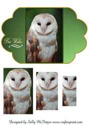 Winged Pyramid Card Owl
