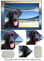 Black Labrador Pyramid