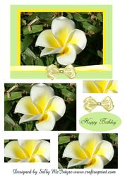 Frangipanni Plumeria Pyramid Happy Birthday