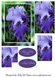 Happy Birthday Happy Birthday Mum Irises Purple