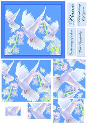 On the Wings of a Snow White Dove